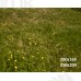 Tło fotograficzne „Rustykalne okno pełne kwiatów” | 4207